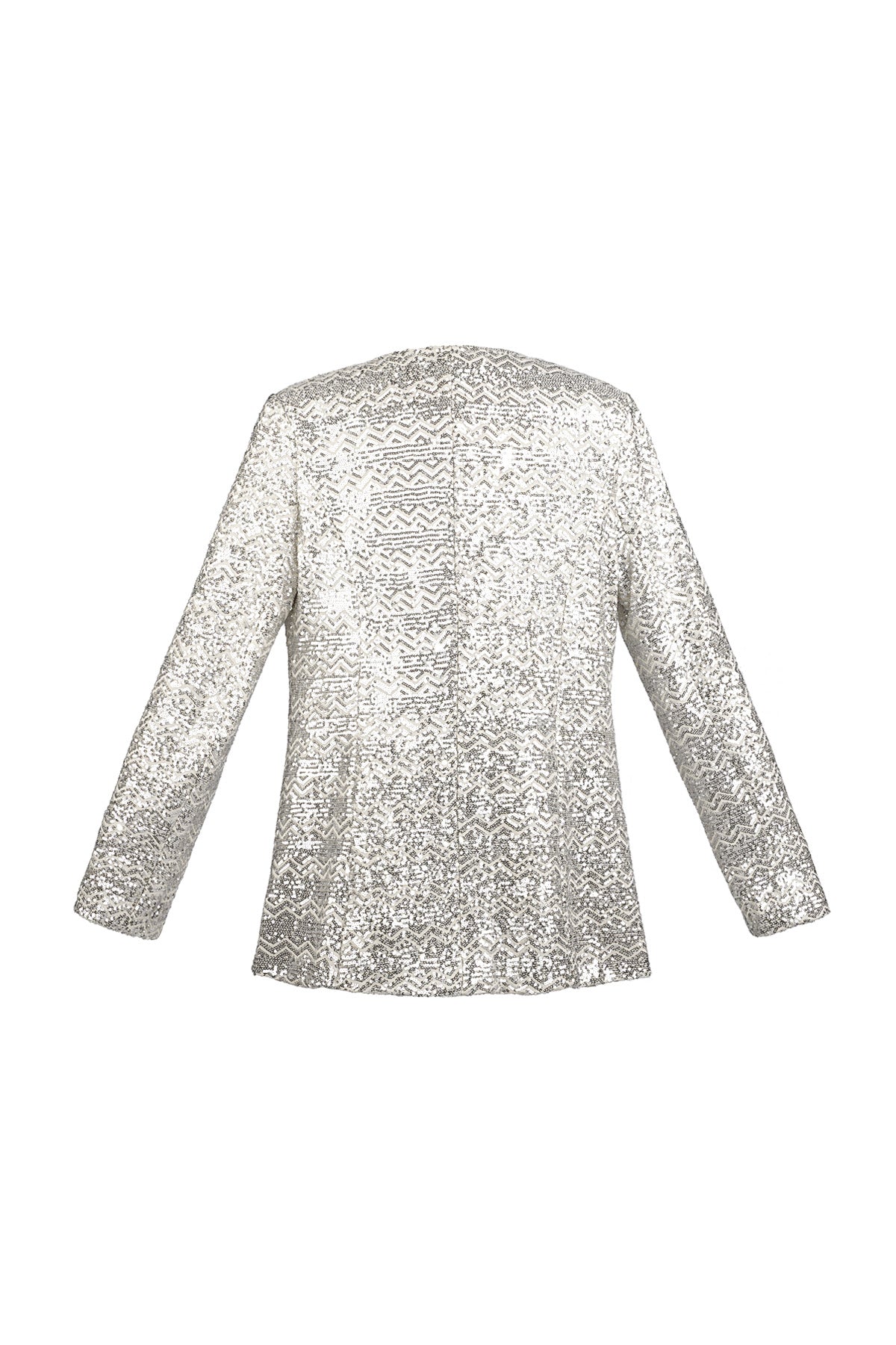 Glitter blazer